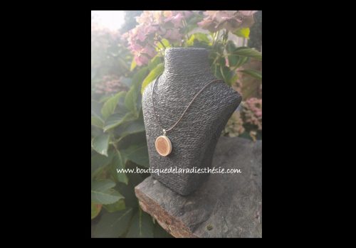 Bouclier Pendentif – Image 2